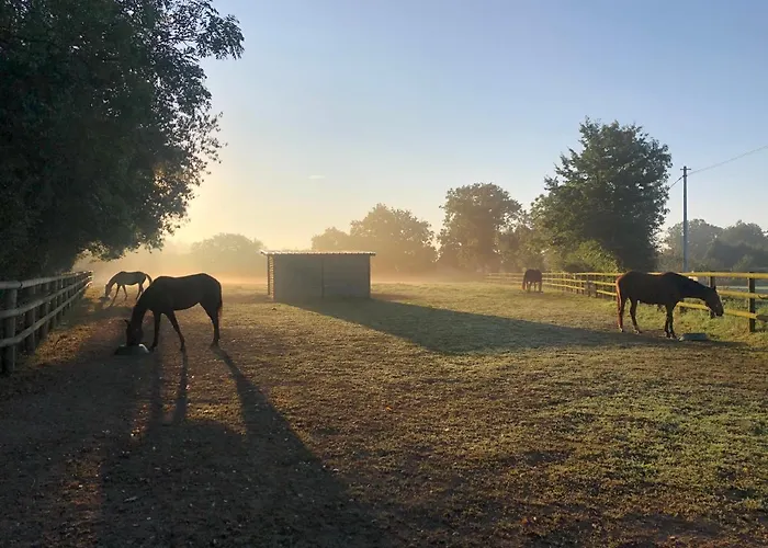 Haras D’élevage De Chevaux Casa vacanze *